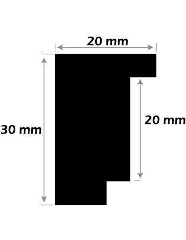 MOLDURA AYOUS DOBLE GALCE NEGRA. PARA CUADROS TIPO VITRINA 21X32 mm.