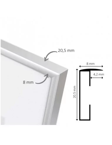 MARCO ALUMINIO PLATA SISTEMA PHOTO CLICK | CON TRASERA Y FRONTAL PLASTICO MARCO ALUMINIO PLATA SISTEMA PHOTO CLICK | CON TRASERA Y FRONTAL PLASTICO