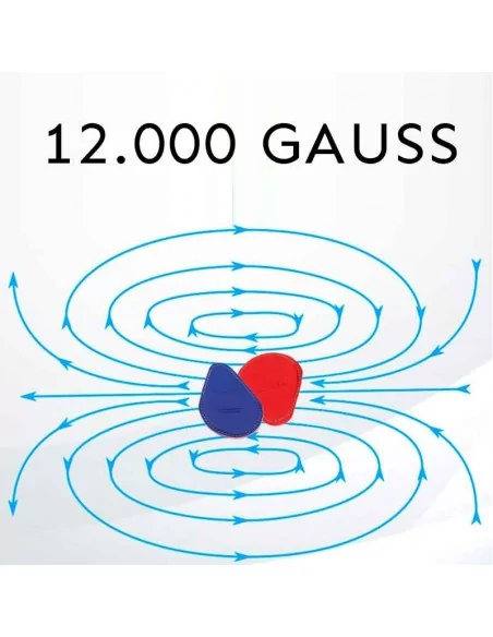 PACK IMANES BIO MAGNETICOS 12,000 GAUSS IN THE NUCLEO Moliber