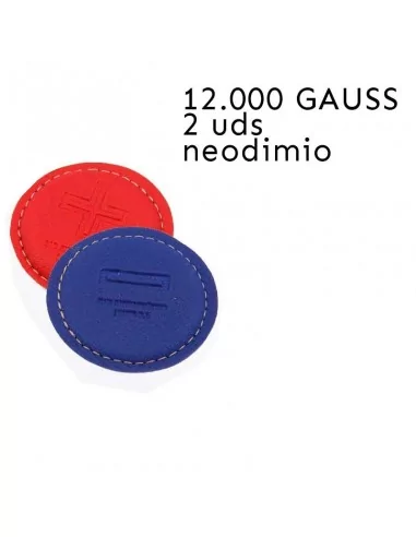PAR BIO MAGNETICOS - MAGNETOTERAPIA DR GOIZ molde