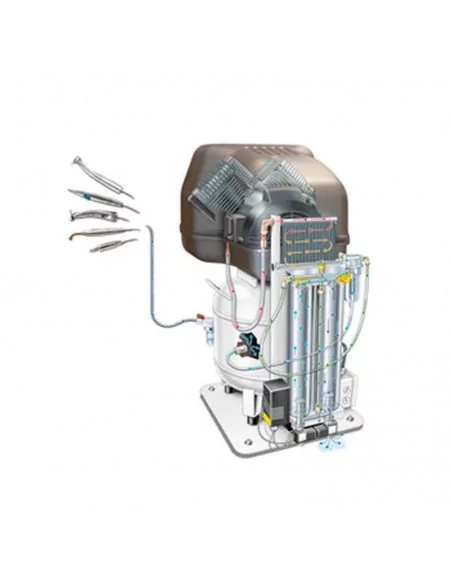 PISTAN BUILD FOR SIN ACEITE HIGIENICO - 1.5 CV 24 LITROS