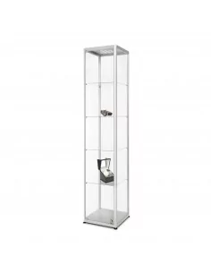 VITRINE EXPOSITRICE EN... 2
