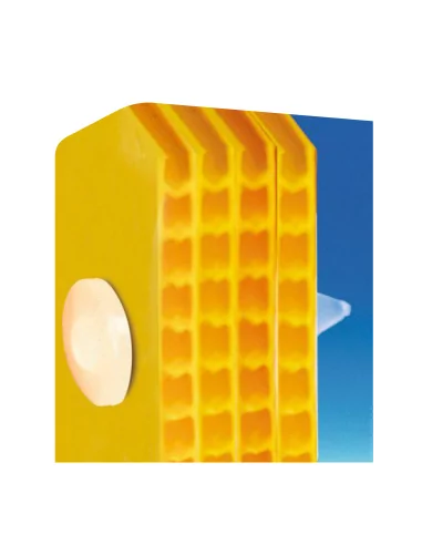 Tige translucide Ø 5 mm tête Ø 12 mm Tige translucide Ø 5 mm tête Ø 12 mm
