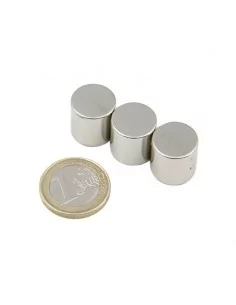 Barra cilíndrica de neodimio Ø15 × 15 mm N35 2