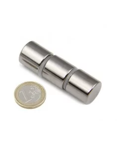 Barra cilíndrica de neodimio Ø19 × 19 mm N52 2