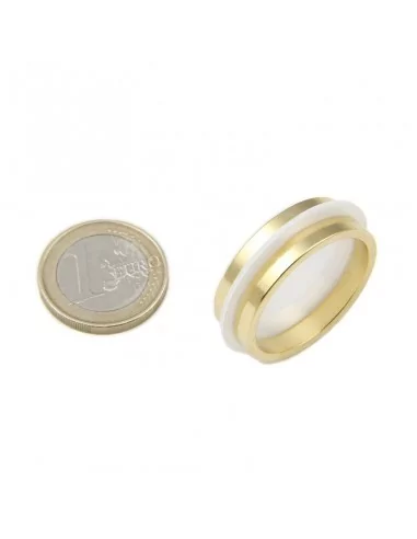 Anel de neodímio ⌀29 × 4 (⌀25) mm N35 banho de Ouro Anel de neodímio ⌀29 × 4 (⌀25) mm N35 banho de Ouro