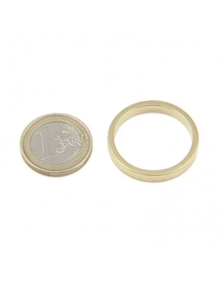 Anel de neodímio ⌀29 × 4 (⌀25) mm N35 banho de Ouro Anel de neodímio ⌀29 × 4 (⌀25) mm N35 banho de Ouro