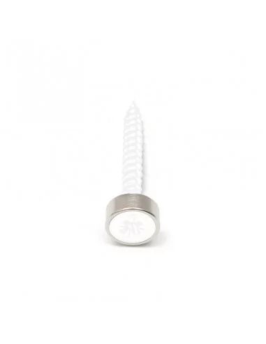 Aro avellanado de neodimio ⌀10 × 3 mm N35 (con agujero ⌀4) cara Norte Aro avellanado de neodimio ⌀10 × 3 mm N35 (con agujero ⌀4) cara Norte