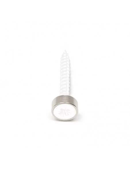 Aro avellanado de neodimio ⌀10 × 3 mm N35 (con agujero ⌀4) cara Norte Aro avellanado de neodimio ⌀10 × 3 mm N35 (con agujero ⌀4) cara Norte