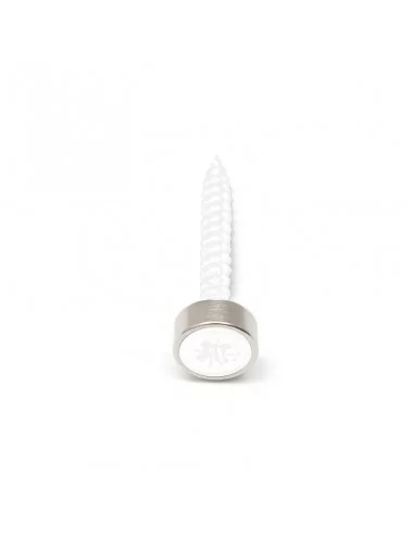 Anneau fraisé en néodyme ⌀10 × 4 mm (avec trou ⌀4) N35 face Nord Anneau fraisé en néodyme ⌀10 × 4 mm (avec trou ⌀4) N35 face Nord