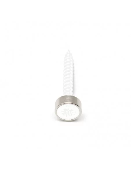 Anneau fraisé en néodyme ⌀10 × 4 mm (avec trou ⌀4) N35 face Nord Anneau fraisé en néodyme ⌀10 × 4 mm (avec trou ⌀4) N35 face Nord