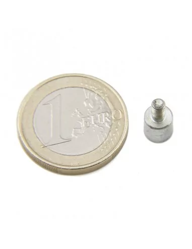 Base com parafuso de neodímio ⌀6 × 6 mm M3 N35 Base com parafuso de neodímio ⌀6 × 6 mm M3 N35