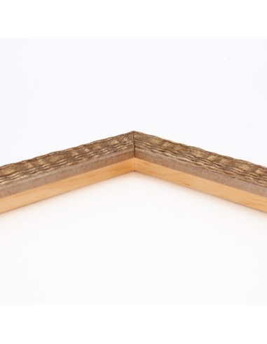 Moldura Kolumna 680/747 · 21×20 mm · Plata