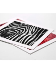 PVC ESPUMADO 3mm BLANCO MATE_FOREX_PALIGHT_LYXFOAM 2