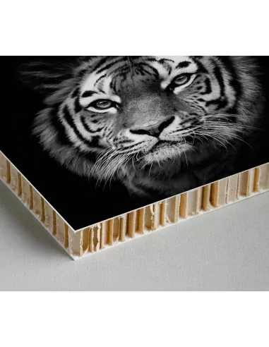 PANEL NIDO DE ABEJA. Modelo PRINT. 12mm grosor. (Varias medidas) PANEL NIDO DE ABEJA. Modelo PRINT. 12mm grosor. (Varias medidas)