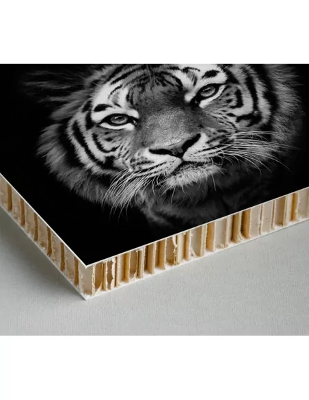 PANEL NIDO DE ABEJA. Modelo PRINT. 12mm grosor. (Varias medidas) PANEL NIDO DE ABEJA. Modelo PRINT. 12mm grosor. (Varias medidas)