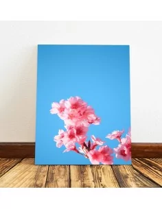 Foto cuadros personalizados en lienzo con bastidor de madera 2