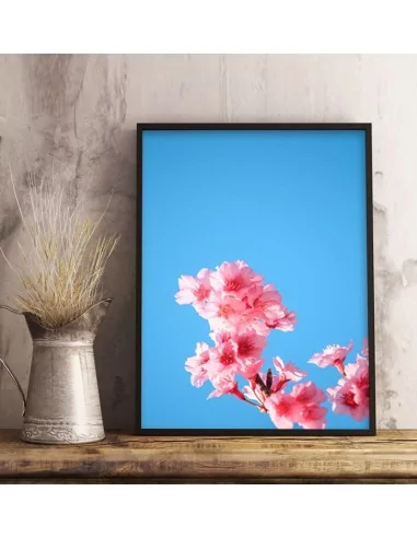 Cuadros con marco personalizados. Enmarcados