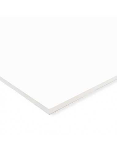 PANEL LIGERO Blanco 5 mm grosor. Pegasus Starplast