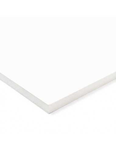 PANEL LIGERO Blanco 10 mm grosor. Pegasus Starplast