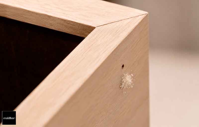 carcona-en-la-madera_01